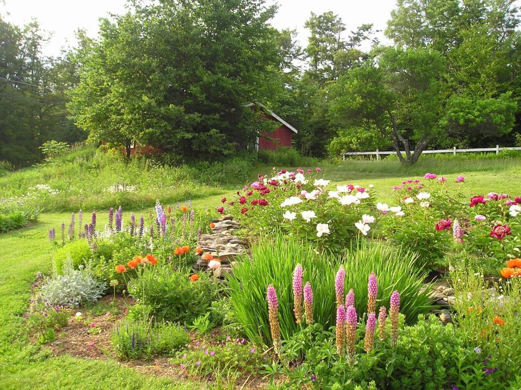 Cooper Hill Inn East Dover Dış mekan fotoğraf