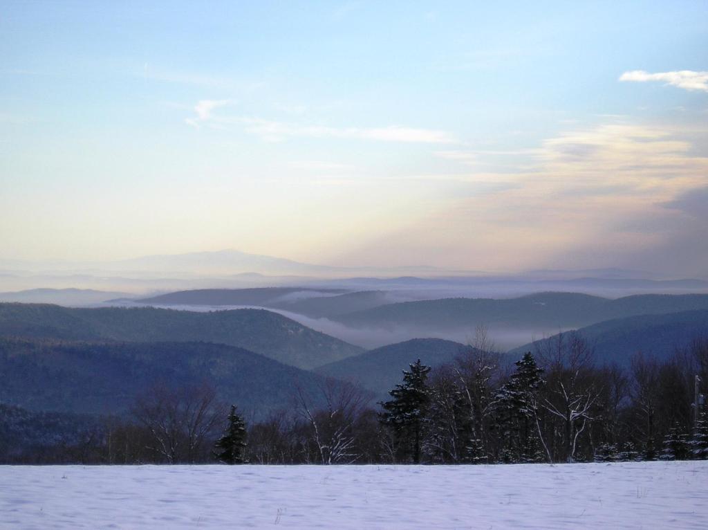 Cooper Hill Inn East Dover Dış mekan fotoğraf