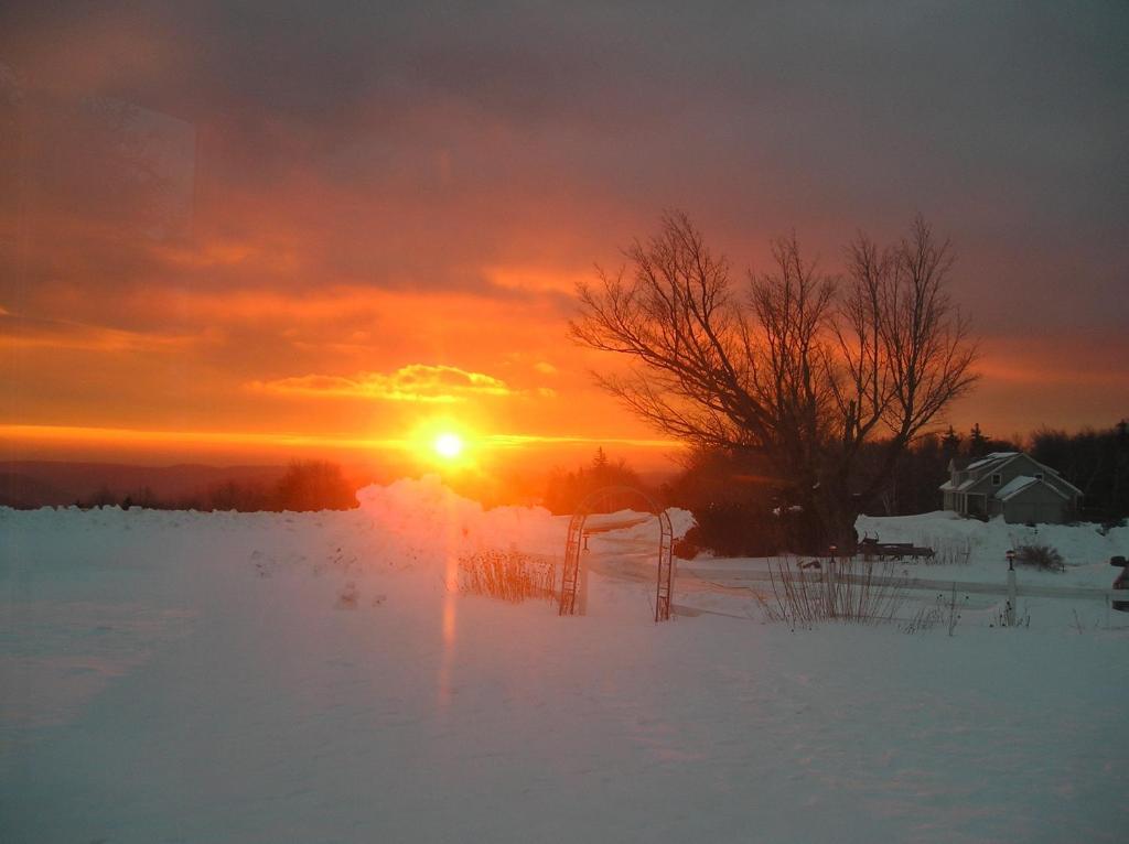Cooper Hill Inn East Dover Dış mekan fotoğraf